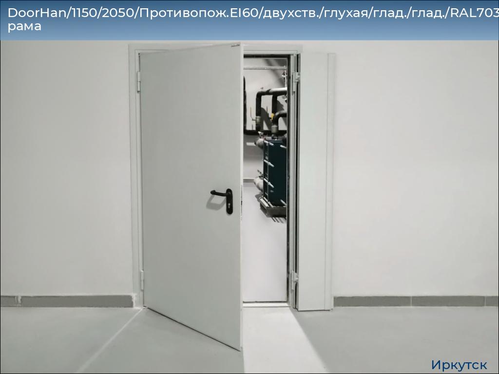 DoorHan/1150/2050/Противопож.EI60/двухств./глухая/глад./глад./RAL7035/лев./угл. рама, irkutsk.doorhan.ru