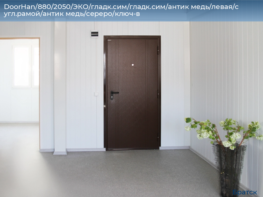 DoorHan/880/2050/ЭКО/гладк.сим/гладк.сим/антик медь/левая/с угл.рамой/антик медь/сереро/ключ-в, bratsk.doorhan.ru