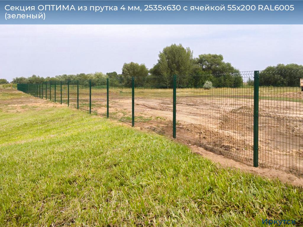 Секция ОПТИМА из прутка 4 мм, 2535x630 с ячейкой 55х200 RAL6005 (зеленый), irkutsk.doorhan.ru