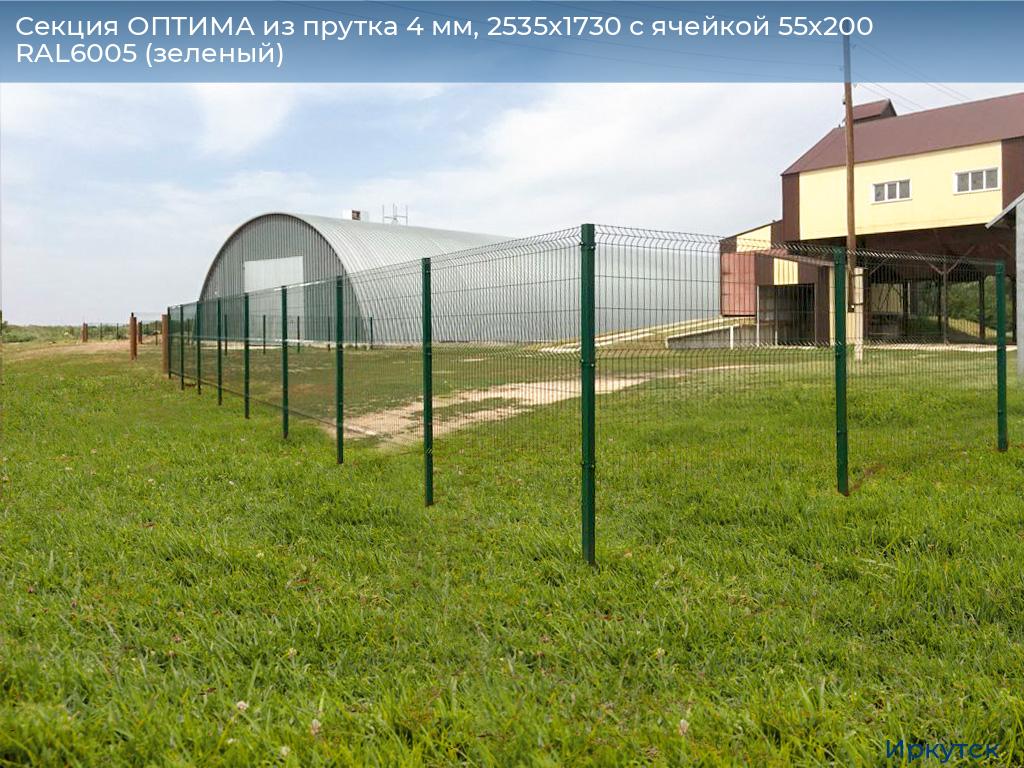 Секция ОПТИМА из прутка 4 мм, 2535x1730 с ячейкой 55х200 RAL6005 (зеленый), irkutsk.doorhan.ru