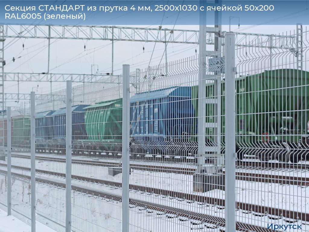 Секция СТАНДАРТ из прутка 4 мм, 2500x1030 с ячейкой 50х200 RAL6005 (зеленый), irkutsk.doorhan.ru